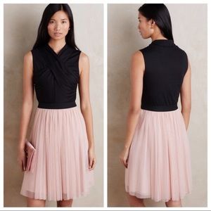 HD in Paris for Anthropologie tulle dress